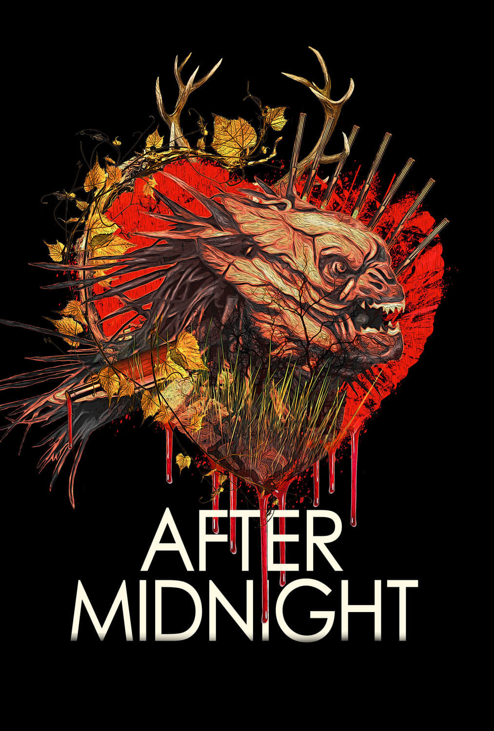 постер После полуночи 